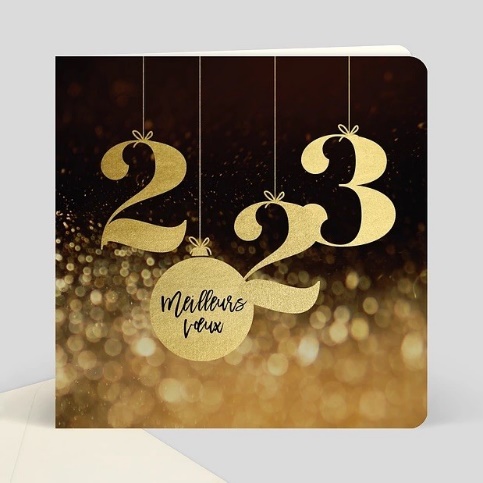 Une image contenant texte Description générée automatiquement